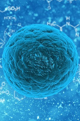 Home Stem Cell