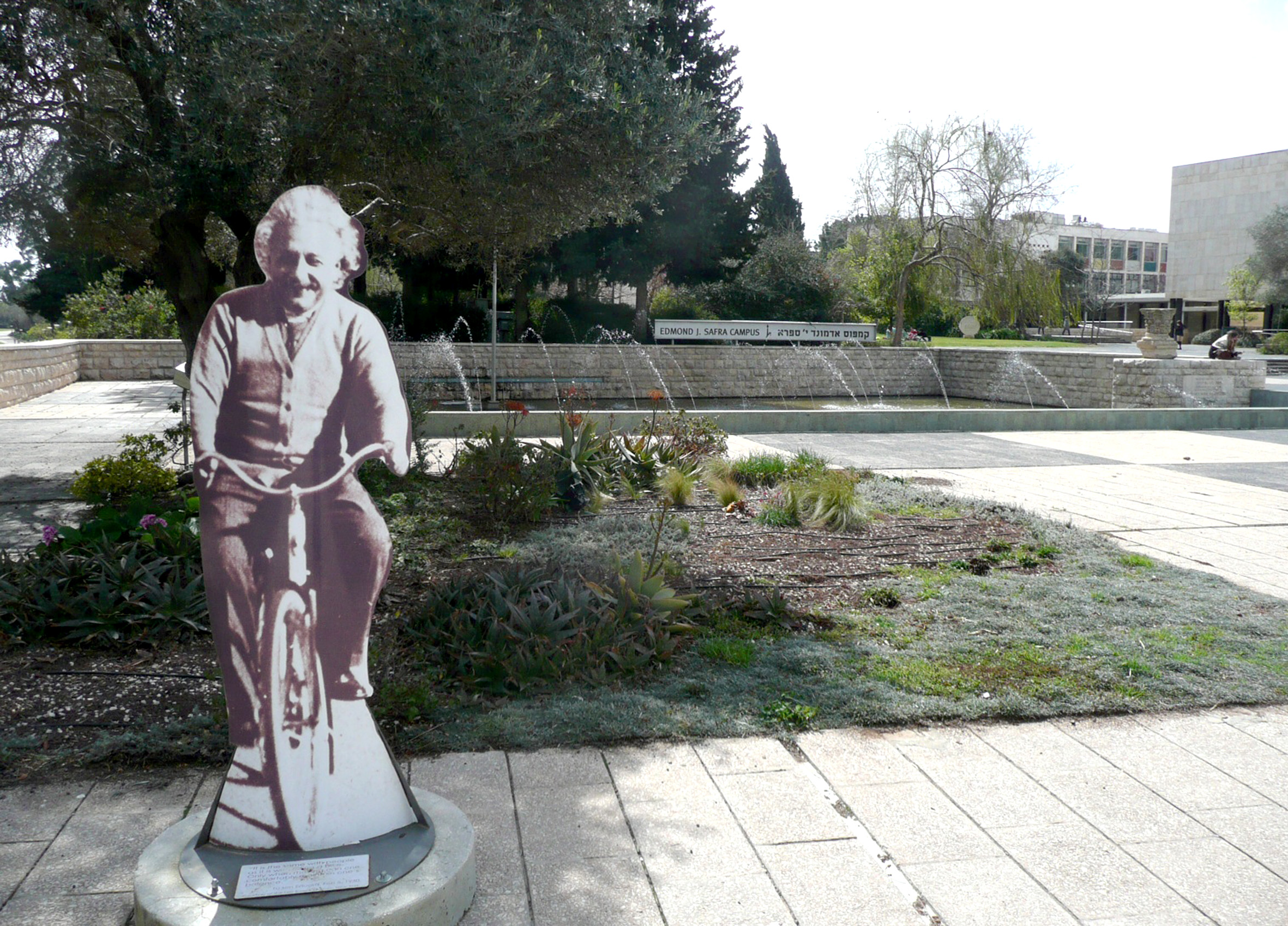 Einstein riding a bike at the Edmond J. Safra campus