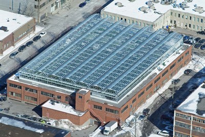Montreal rooftop greenhouse -1 