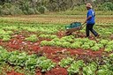 Agricultura sustentável