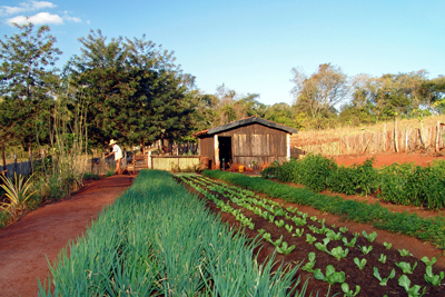 Agroecologia