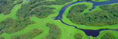 IEA recomenda - Projeto Amazônia 4.0