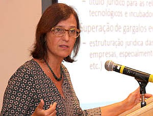 Maria Paula Dallari Bucci - Seminário Lei da Inovação