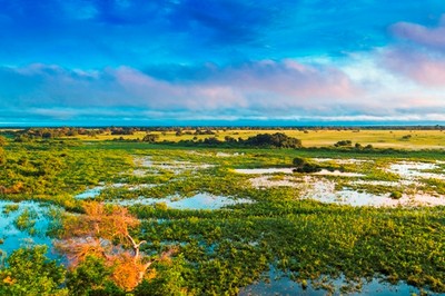 Pantanal Mato-grossense1