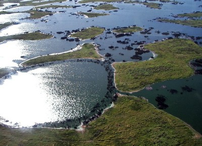 Pantanal Mato-grossense3