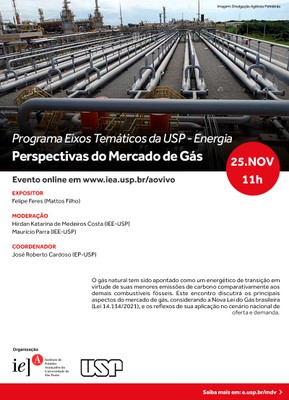 Programa Eixos Temáticos da USP - Energia: Perspectivas do Mercado de Gás