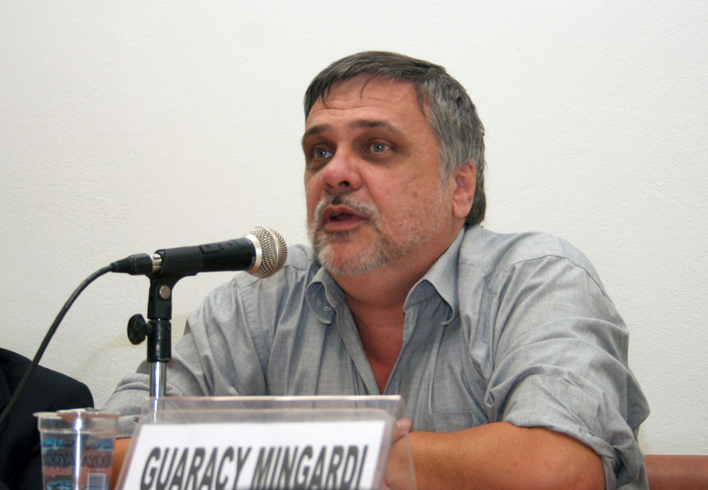 Guaracy Mingardi 