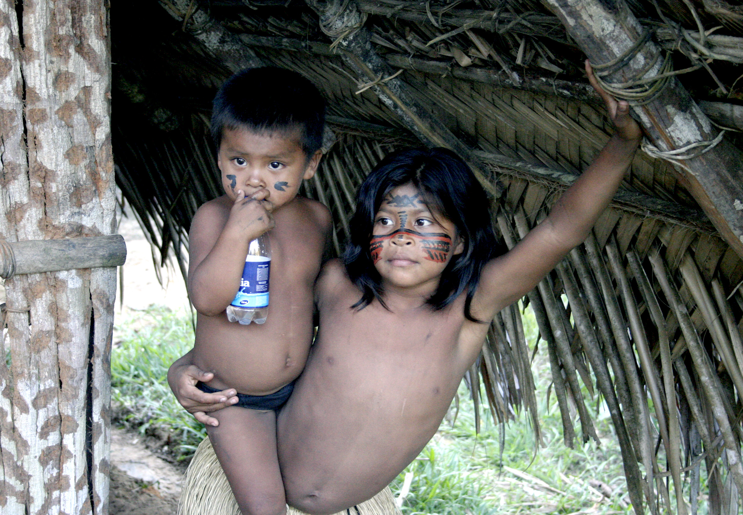Viagem a amazônia - foto 12