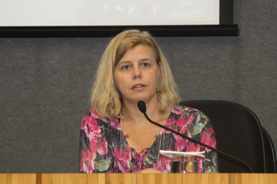 Relatora crítica Rosa Levandovski durante sua apresentação - 28 de abril de 2015