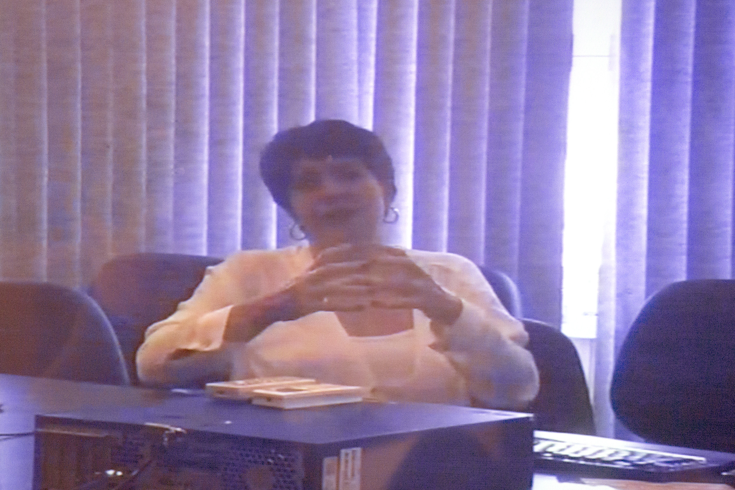 Fernanda De Negri via videoconferência