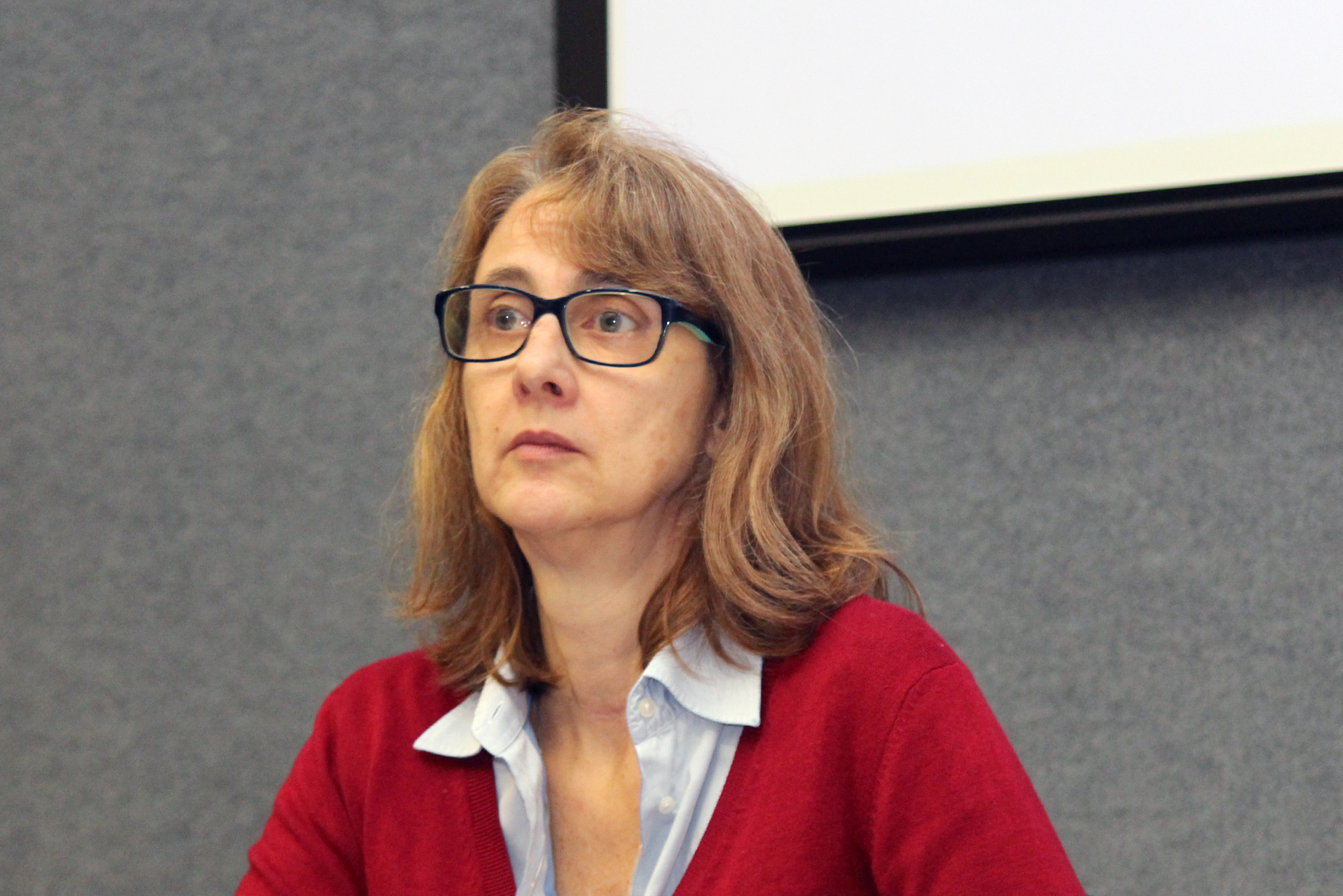 Sonia Maria Viggiani Coutinho, relatora do Painel 1