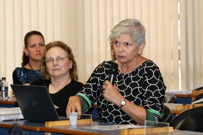 Maria do Carmo Martins Sobral faz perguntas durante o debate do Painel I - 12/06/2018