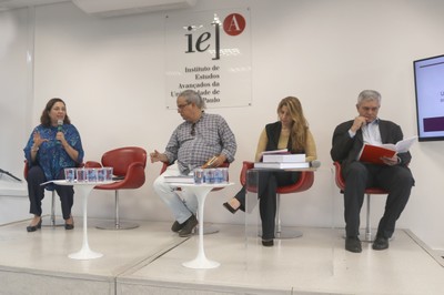 Silvia Elena Giorguli Saucedo, José Renato de Campos Araújo, Rosana Aparecida Baeninger e Alberto Pfeifer