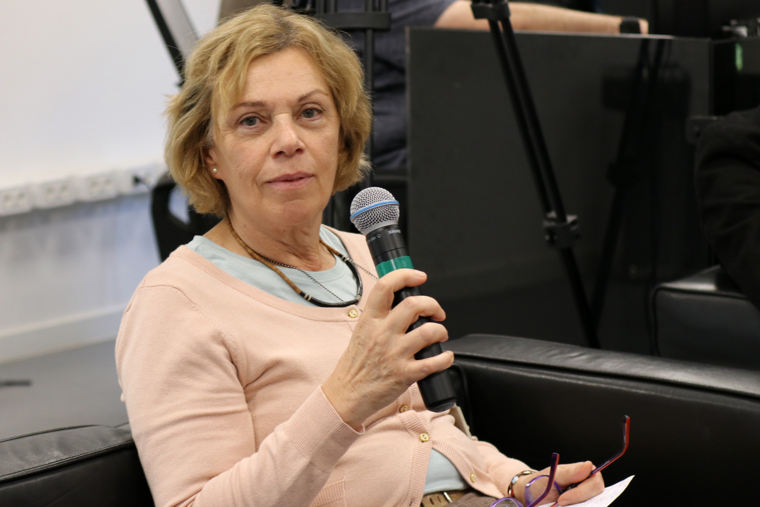 Maria da Penha Vasconcellos fala durante o debate
