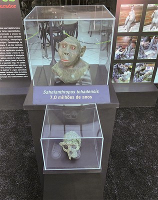 Exposição itinerante Do Macaco ao Homem