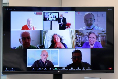 Participantes via vídeo-conferência