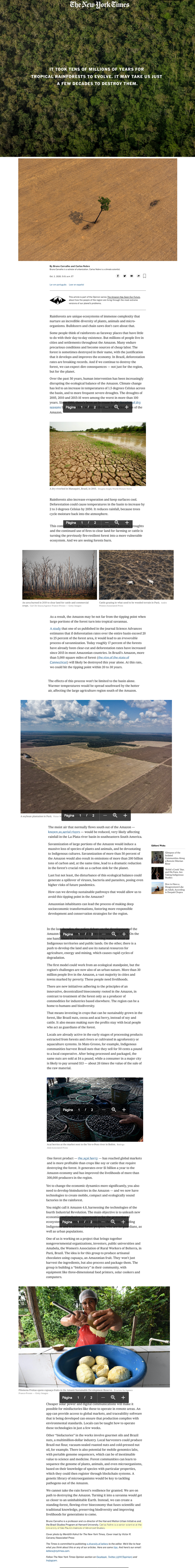 Artigo de Bruno Carvalho e Carlos Nobre sobre a Destruição da Amazônia