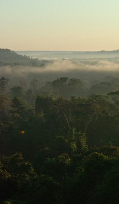Amazonas. Foto: Cecilia Bastos/Jornal da USP