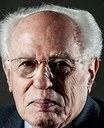 José Goldemberg Ok