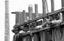 Trabalho escravo