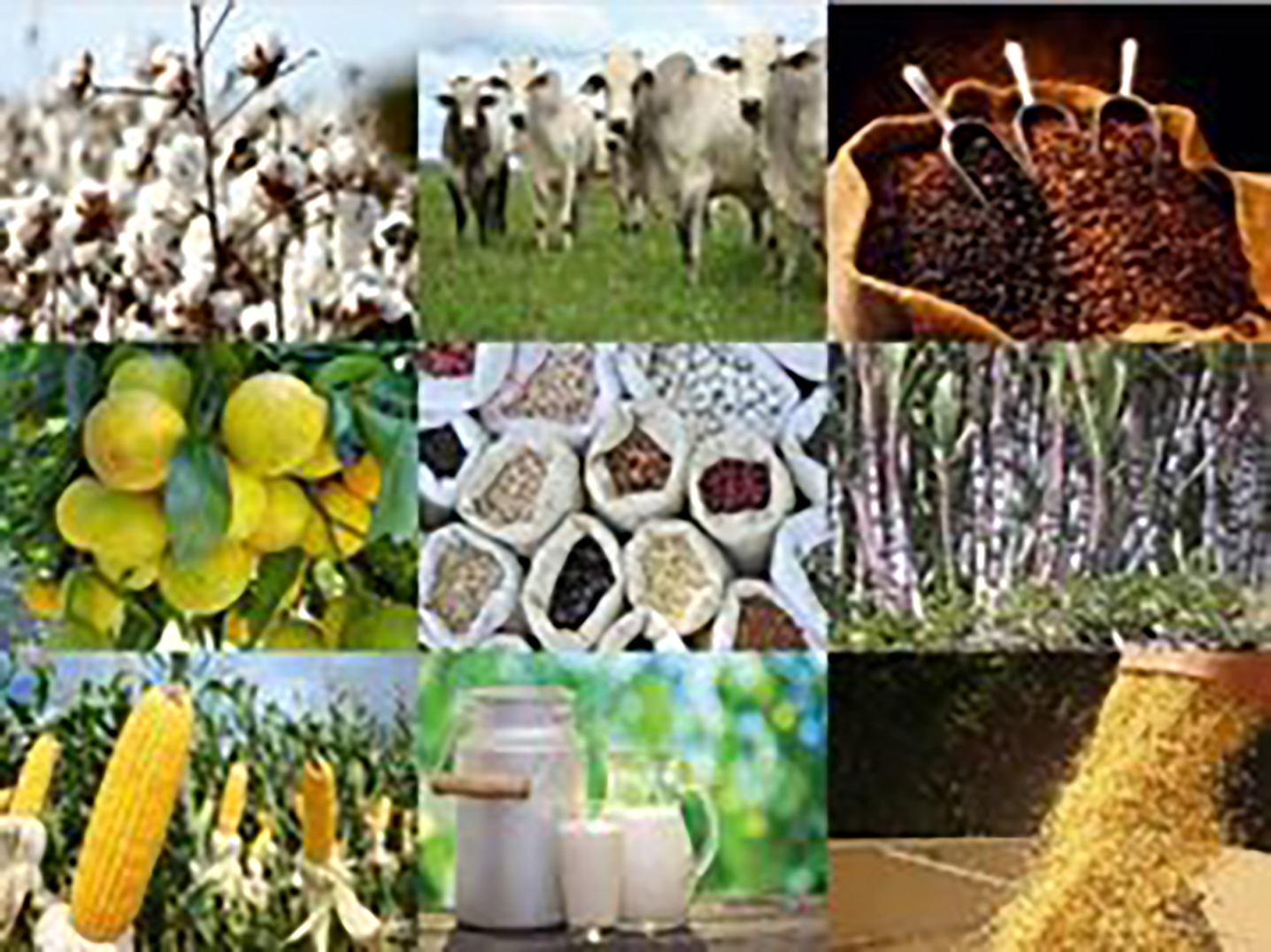 Agroalimentar
