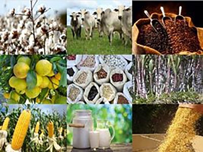 Agroalimentar