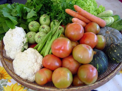 Agroecologia