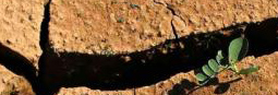 Clima 1