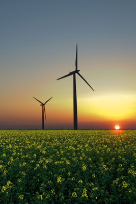 Home Energia limpa