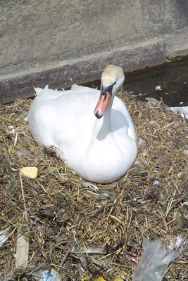 Home Paradigma da Modernidade