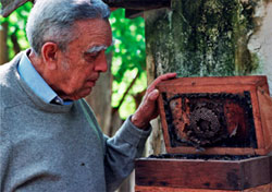 paulonogueiraneto.jpg