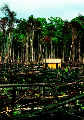 Queimada
