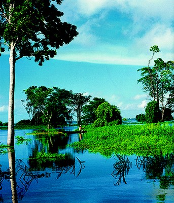 Rio Amazonas