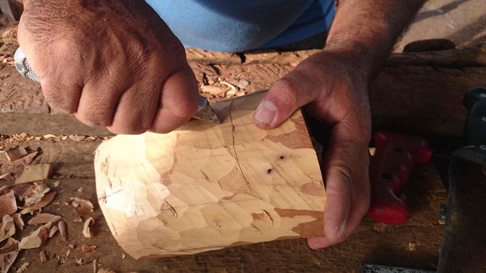Saberes tradicionais
