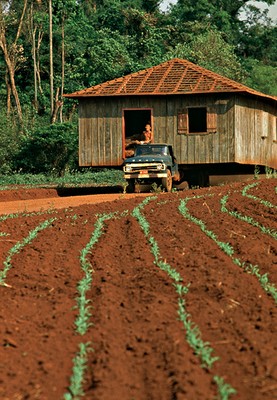Segurança alimentar