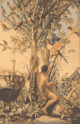 tapete.gif
