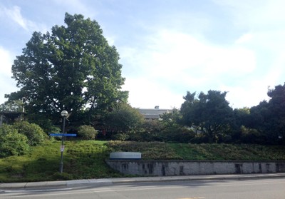 External Area 1