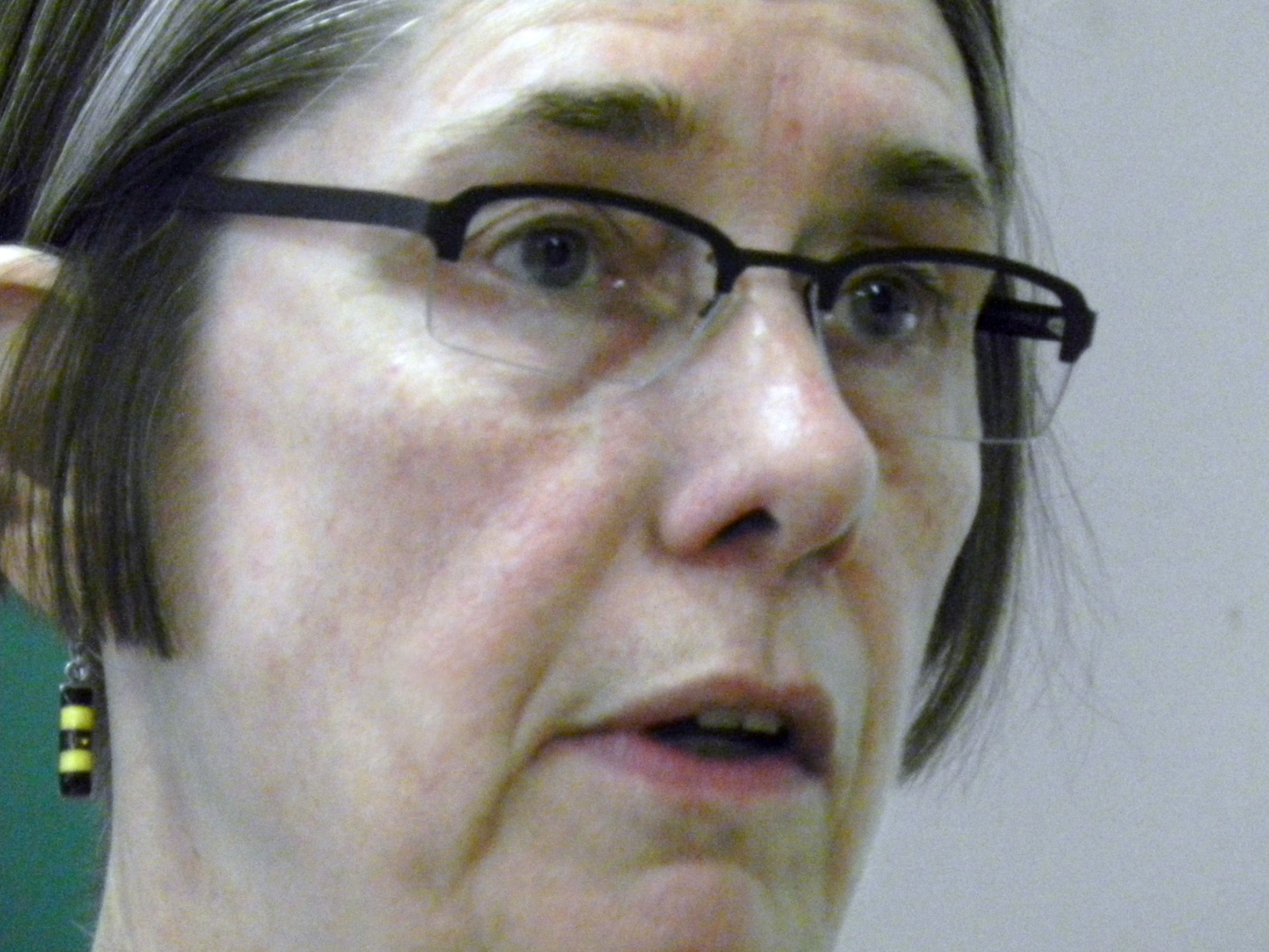 Conversation with Alison Wylie - 16