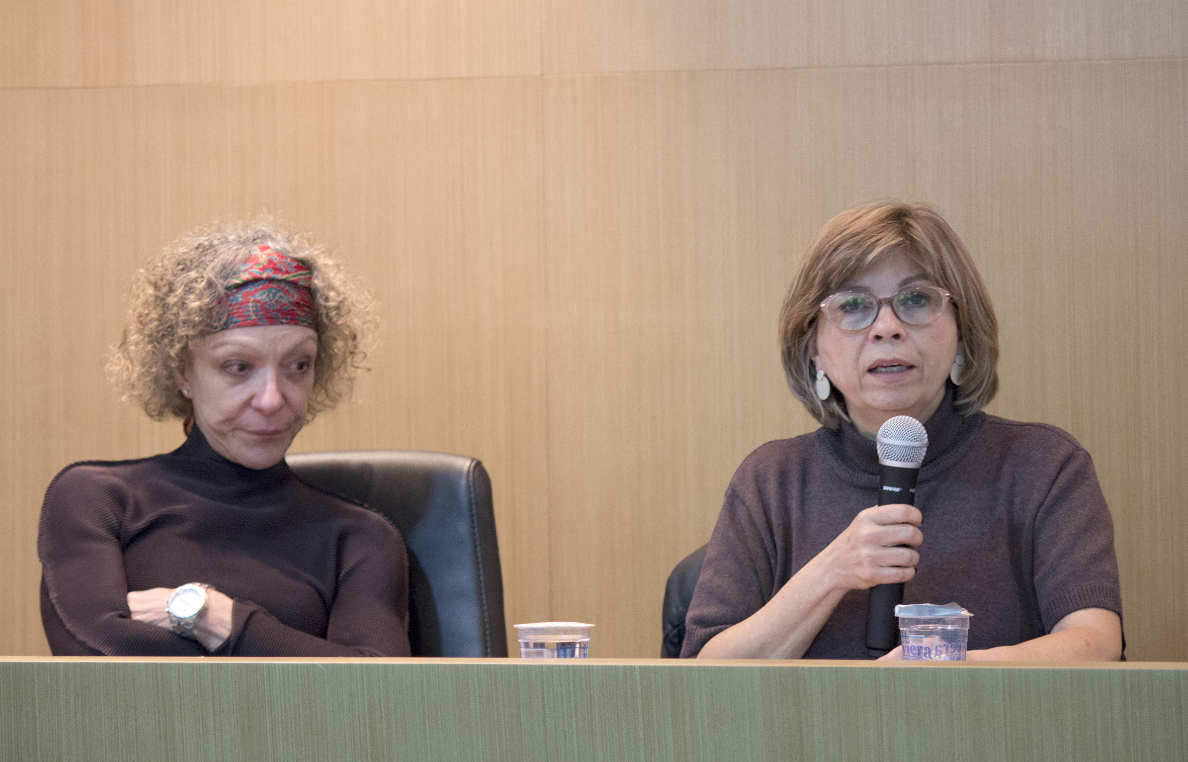 Vera da Silva Telles and Maria Alice Rezende de Carvalho