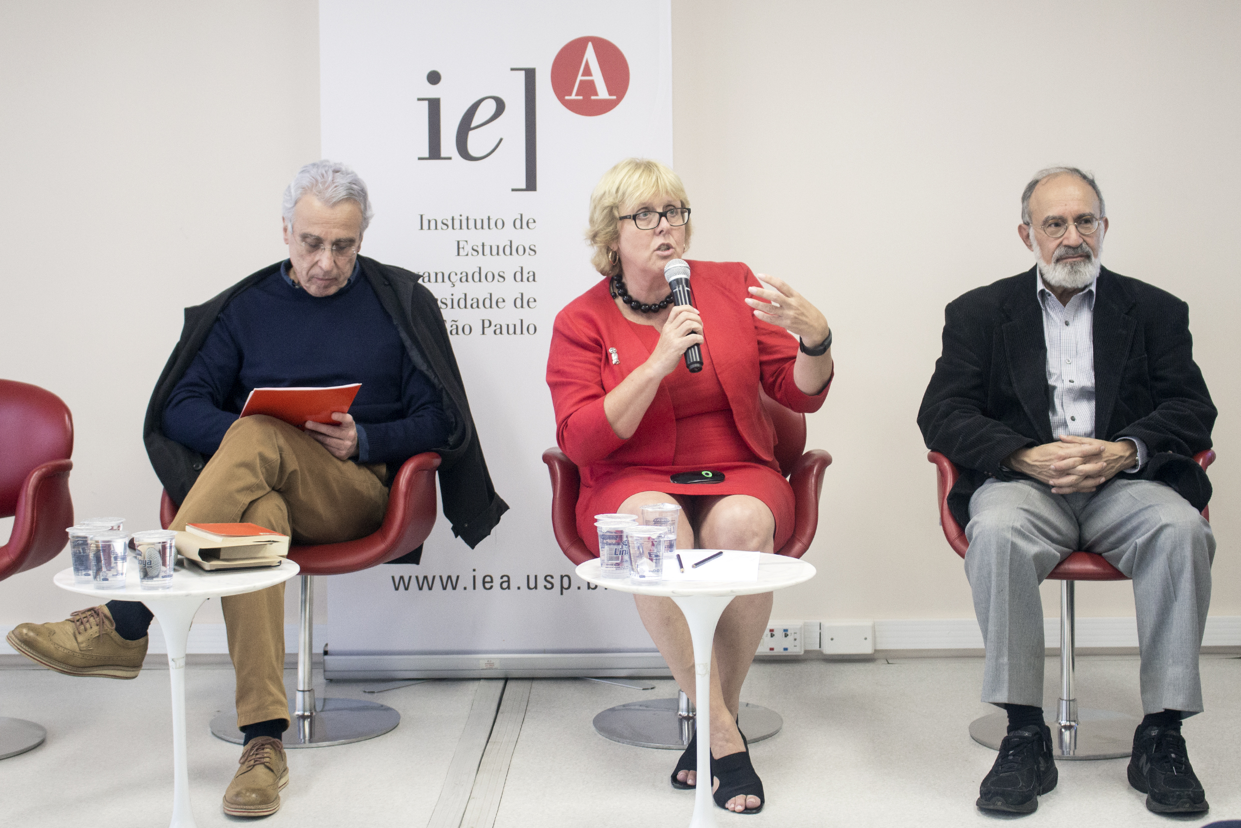 José Teixeira Coelho Netto, Jane Ohlmeyer and Guilherme Ary Plonski