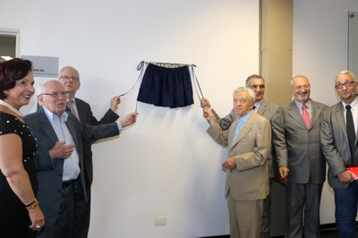 Unveiling