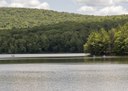 Catskill - 1