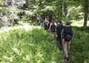 Catskill - 6