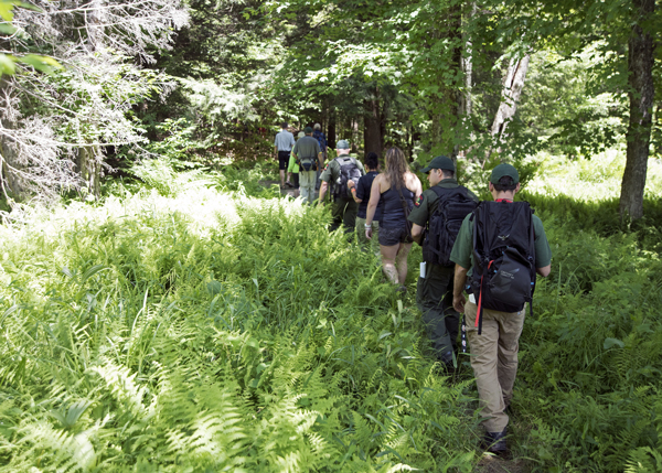 Catskill - 6