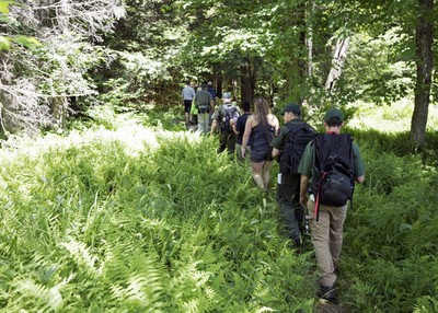 Catskill - 6