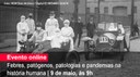 Home 1 - Pandemia história