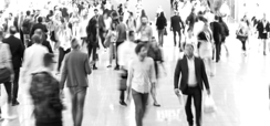 Home 2 - Cultura política valores morais e democracia no Brasil