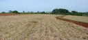 Home 2 - Agronegócio sustentável Home 2 - Agronegócio sustentável