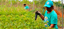 Home 2 - Grupo Soluções baseadas na natureza Home 2 - Grupo Soluções baseadas na natureza
