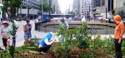 Home 2 - Sustentabilidade justa